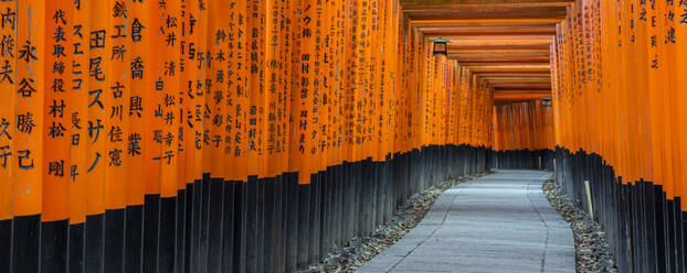 Fushimi Inari Taisha-Schrein und Torii-Tore, Kyoto, Japan, Asien - RHPLF06238