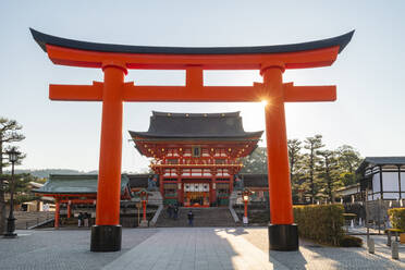 Fushimi Inari Taisha-Schrein und Torii-Tore, Kyoto, Japan, Asien - RHPLF06240