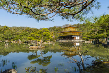 Kinkaku-ji temple, UNESCO World Heritage Site, Kyoto, Japan, Asia - RHPLF06241