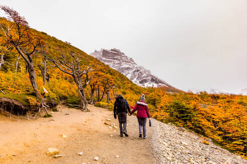 Genießen Sie die friedliche und wunderschöne Landschaft des Torres del Paine Nationalparks, Patagonien, Chile, Südamerika - RHPLF06252
