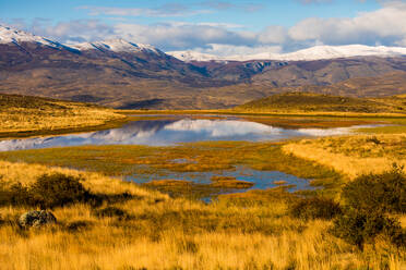 Wunderschöne Landschaft im Torres del Paine National Park, Patagonien, Chile, Südamerika - RHPLF06282