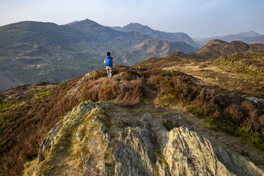 Eine Frau, die in Snowdonia wandert, geht über den Gipfel des Mynydd Sygun in der Nähe von Bedgellert mit Blick auf den Mount Snowdon in der Ferne, Gwynedd, Wales, Vereinigtes Königreich, Europa - RHPLF06297