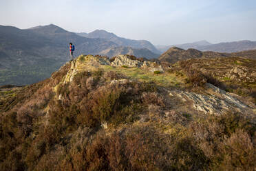 Eine Frau, die in Snowdonia wandert, geht über den Gipfel des Mynydd Sygun in der Nähe von Bedgellert mit Blick auf den Mount Snowdon in der Ferne, Gwynedd, Wales, Vereinigtes Königreich, Europa - RHPLF06298