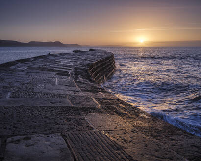 Die als The Cobb bekannte Hafenmauer erfreut sich großer Beliebtheit und sieht im Licht der Morgendämmerung besonders gut aus, Lyme Regis, Dorset, England, Vereinigtes Königreich, Europa - RHPLF06361