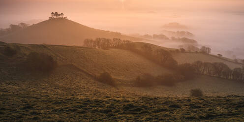 Nebliger Sonnenaufgang über dem markanten kiefernbestandenen Colmer's Hill bei Bridport, Dorset, England, Vereinigtes Königreich, Europa - RHPLF06393