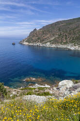 The rugged coastline of Cap Corse, the most northerly point of Corsica, France, Mediterranean, Europe - RHPLF06447