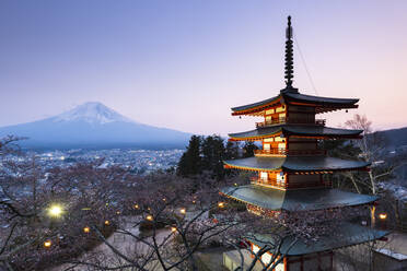 Chureito Pagoda, Mount Fuji, Japan, Asia - RHPLF06466