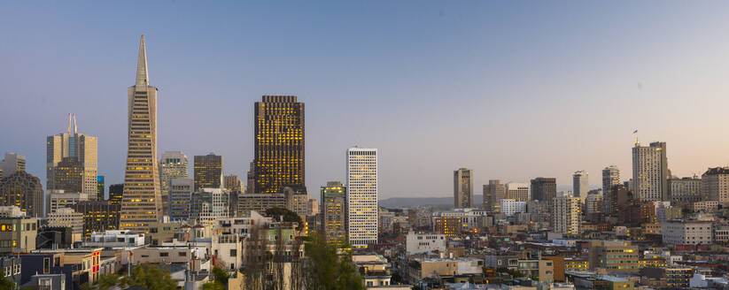 Blick auf die Stadt und die Transamerica Pyramid vom Coit Tower, San Francisco, Kalifornien, Vereinigte Staaten von Amerika, Nordamerika - RHPLF06472