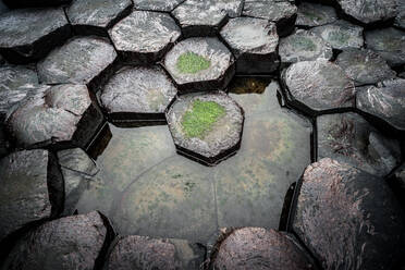 Giant's Causeway, UNESCO-Weltkulturerbe, County Antrim, Nordirland, Vereinigtes Königreich, Europa - RHPLF06527