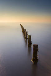 Groynes, Brean Beach, Somerset, England, Vereinigtes Königreich, Europa - RHPLF06540