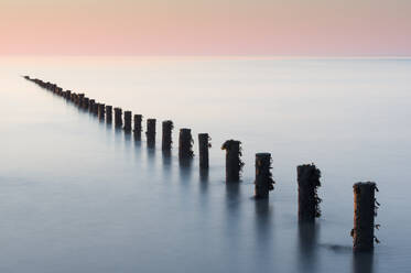 Groynes, Brean Beach, Somerset, England, Vereinigtes Königreich, Europa - RHPLF06543