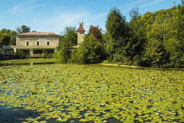 Seerosenblätter am Fluss Le Dropt in dieser beliebten historischen Bastidenstadt im Südwesten, Eymet, Bergerac, Dordogne, Frankreich, Europa - RHPLF06690