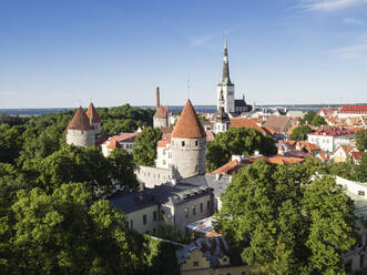 Blick auf das Stadtbild von der Aussichtsplattform Patkuli, Altstadt, UNESCO-Weltkulturerbe, Tallinn, Estland, Baltikum, Europa - RHPLF06703