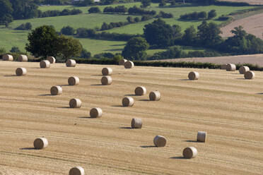 Round hay bales and Cotswold farmland at Wadfield farm, Winchcombe, Cotswolds, Gloucestershire, England, United Kingdom, Europe - RHPLF06762