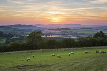Cotswold landscape and distant Malvern Hills at sunset, Farmcote, Cotswolds, Gloucestershire, England, United Kingdom, Europe - RHPLF06765