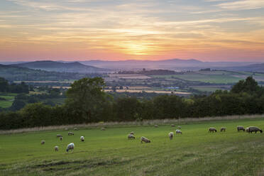 Cotswold-Landschaft und ferne Malvern Hills bei Sonnenuntergang, Farmcote, Cotswolds, Gloucestershire, England, Vereinigtes Königreich, Europa - RHPLF06765