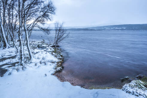 Loch Morlich im Schnee im Winter, Glenmore, Cairngorms National Park, Schottland, Vereinigtes Königreich, Europa - RHPLF06788