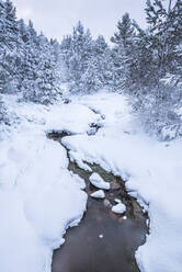 Snowy landscape at CairnGorm Mountain, Cairngorms National Park, Scotland, United Kingdom, Europe - RHPLF06789