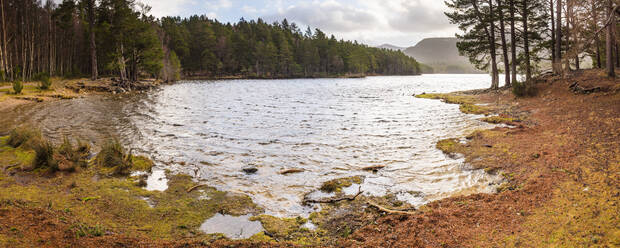 Loch an Eilein und der Rothiemurchus Forest, Aviemore, Cairngorms National Park, Schottland, Vereinigtes Königreich, Europa - RHPLF06794