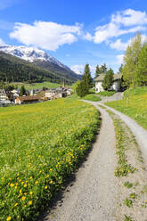 Alpendorf S-chanf umgeben von grünen Wiesen im Frühling, Kanton Graubünden, Region Maloja, Schweiz, Europa - RHPLF06813