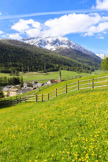 Alpendorf S-chanf umgeben von grünen Wiesen im Frühling, Kanton Graubünden, Region Maloja, Schweiz, Europa - RHPLF06814