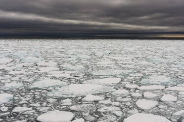A view of the melting sea ice on the Arctic Ocean at 81 degrees, north of the Svalbard islands, Arctic, Norway, Europe - RHPLF06855