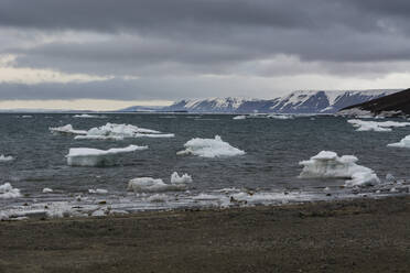 Insel Edgeoya, Svalbard-Inseln, Arktis, Norwegen, Europa - RHPLF06860