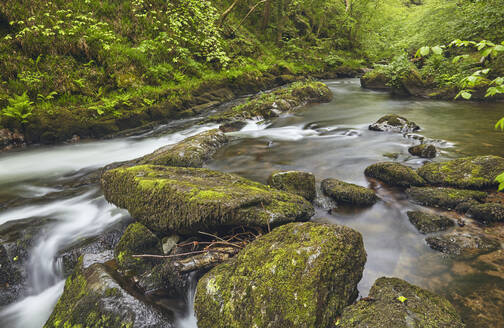 Der Fluss East Lyn fließt durch ein altes Waldgebiet bei Watersmeet in der Nähe von Lynmouth im Exmoor-Nationalpark, Devon, England, Vereinigtes Königreich, Europa - RHPLF06956