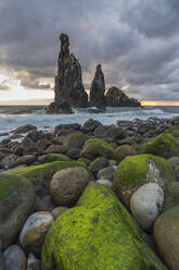 Rib and Janela islets at dawn, Porto Moniz, Madeira, Portugal, Atlantic, Europe - RHPLF07022