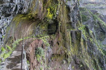 Felsentunnel auf dem Weg vom Pico Ruivo zum Pico do Areeiro, Gemeinde Santana, Madeira, Portugal, Europa - RHPLF07023