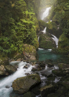 Mackay Falls entlang des Milford Track, Fiordland National Park, auf der Südinsel, Neuseeland, Pazifik - RHPLF07036