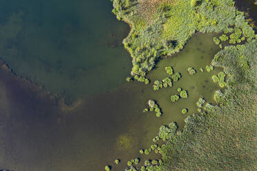 Drohnenaufnahme von Schilfgürtel und Bäumen am Riegsee in Bayern, Deutschland - LHF00677