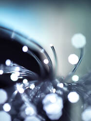 Detail of fibre optics - ABRF00438