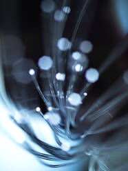 Detail of fibre optics - ABRF00439