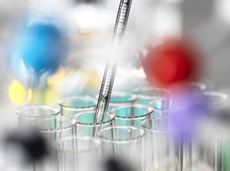 Pipette Dropping Chemical on Plant Spout with Roots in an Erlenmeyer  Conical Flask Stock Photo - Image of pipette, roots: 68352612