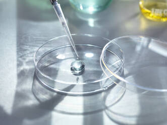 Close-up of medical samples pipetting in petri dish for experiment at laboratory - ABRF00461