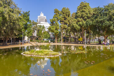 Blick auf eine Spiegelung im Teich im Meir-Garten, Tel Aviv, Israel, Naher Osten - RHPLF07076