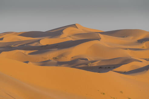 Massive Sanddünen hinter der Oase von Taghit, Westalgerien, Nordafrika, Afrika - RHPLF07100