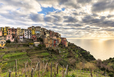 Bunte Häuser von Corniglia bei Sonnenuntergang, Cinque Terre, UNESCO-Weltkulturerbe, Ligurien, Italien, Europa - RHPLF07180