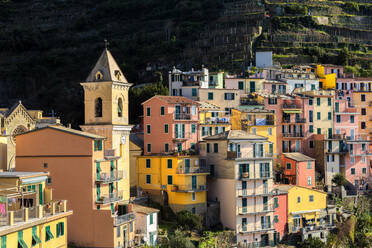 Kirche und traditionelle Häuser von Manarola, Cinque Terre, UNESCO-Weltkulturerbe, Ligurien, Italien, Europa - RHPLF07186