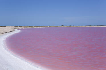 Rosa Seen, Las Coloradas, Yucatan, Mexiko, Nordamerika - RHPLF07251