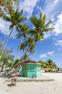 Blick auf den von Palmen gesäumten Worthing Beach, Barbados, Westindien, Karibik, Mittelamerika - RHPLF07260