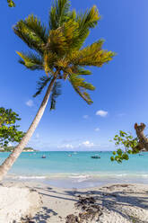 Strand La Datcha, Pointe-a-Pitre, Guadeloupe, Französische Antillen, Westindische Inseln, Karibik, Mittelamerika - RHPLF07274