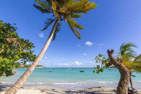 Strand La Datcha, Pointe-a-Pitre, Guadeloupe, Französische Antillen, Westindische Inseln, Karibik, Mittelamerika - RHPLF07275