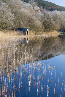 Loch Ard teilweise zugefroren und Raureif um Aberfoyle im Loch Lomond and the Trossachs National Park im Hochwinter, Stirling District, Schottland, Vereinigtes Königreich, Europa - RHPLF07330