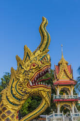 Schlangenförmige Drachen auf einem Tempel im Büro des Nationalen Buddhismus, in Phuket-Stadt, Phuket, Thailand, Südostasien, Asien - RHPLF07337