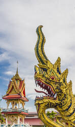 Schlangenförmige Drachen auf einem Tempel im Büro des Nationalen Buddhismus, in Phuket-Stadt, Phuket, Thailand, Südostasien, Asien - RHPLF07339