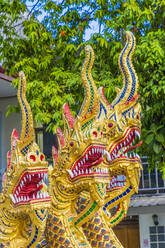 Serpentine dragons on a temple at the Office of National Buddhism, in Phuket Town, Phuket, Thailand, Southeast Asia, Asia - RHPLF07340
