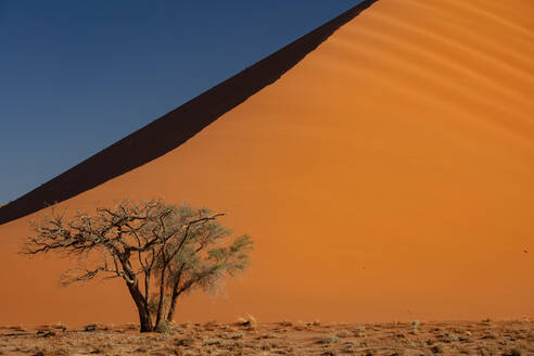 Sossusvlei National Park, Sonnenuntergang an der Düne entlang der Hauptstraße zum Deadvlei, Namibia, Afrika - RHPLF07371