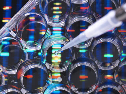 DNA-Forschung, DNA-Proben in einer Multiwell-Platte, bereit für die Analyse, mit DNA-Ergebnissen im Hintergrund - ABRF00476